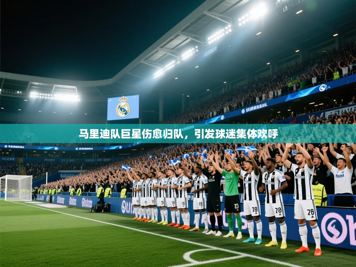 马里迪队巨星伤愈归队，引发球迷集体欢呼  第2张
